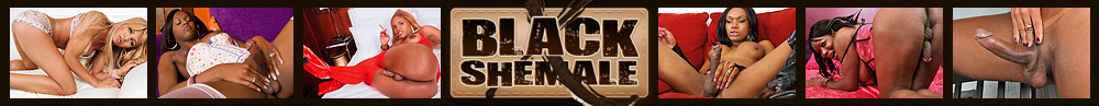 Black Shemale X